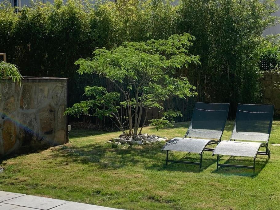 Joli T2 Jardin Parking Proche Gare Centre Ville Dijon Dış mekan fotoğraf